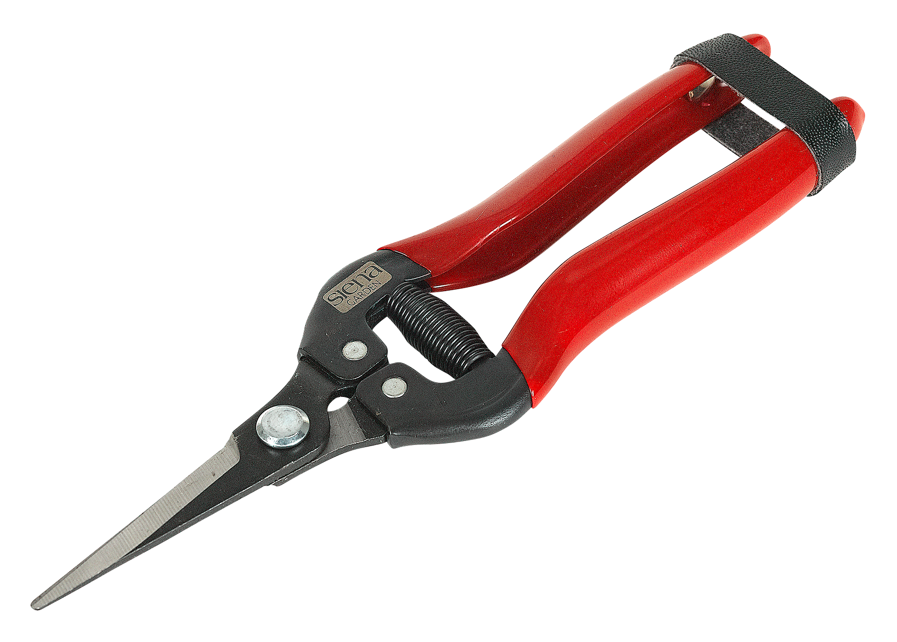 Leseschere Premium 19 cm