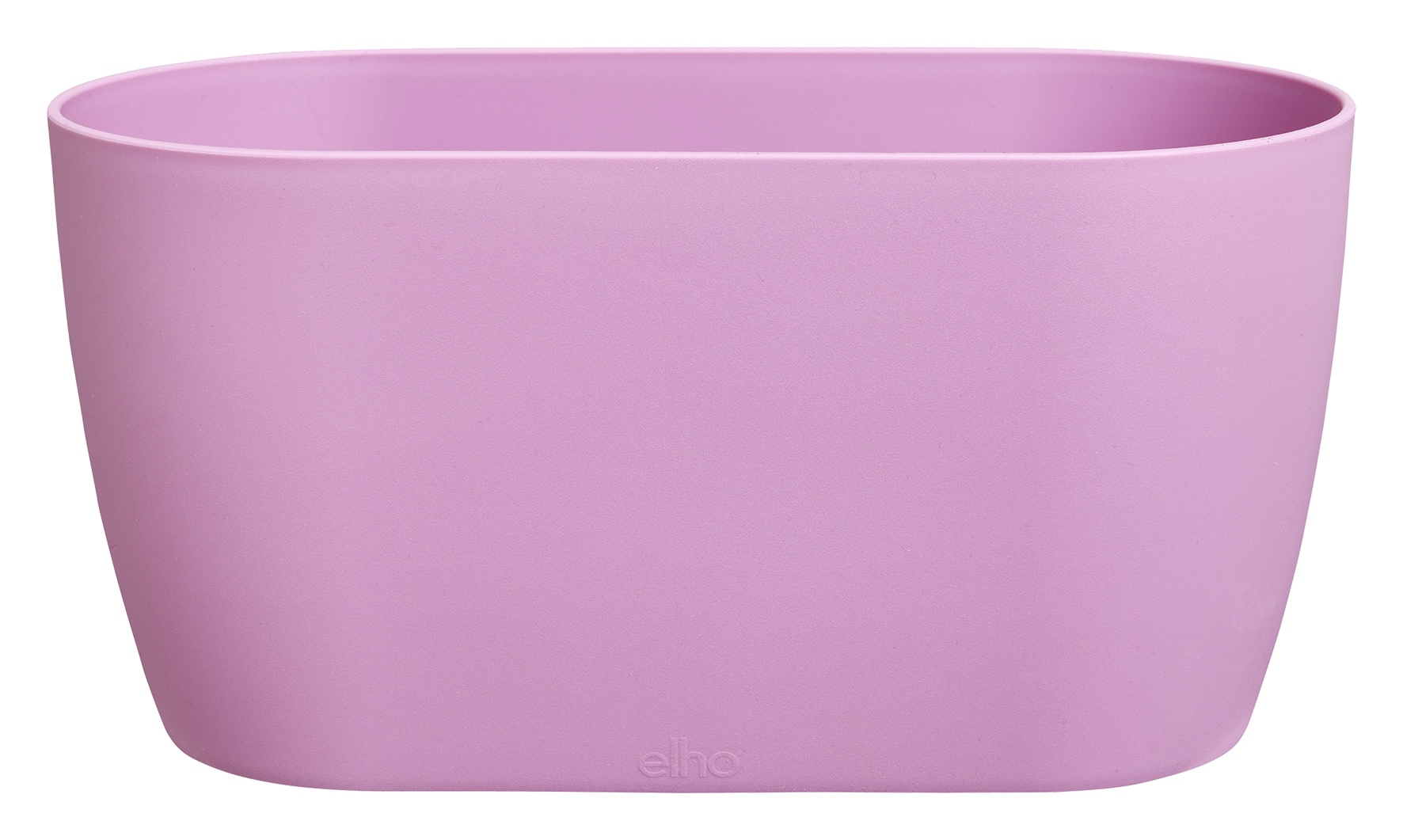 Topf Brussels Orchid.duo vio