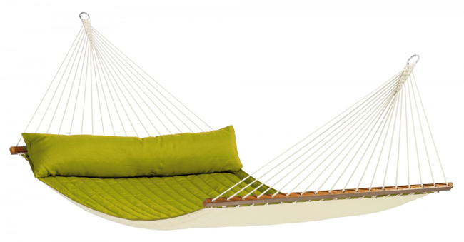 Stabhängem. Alabama avacado