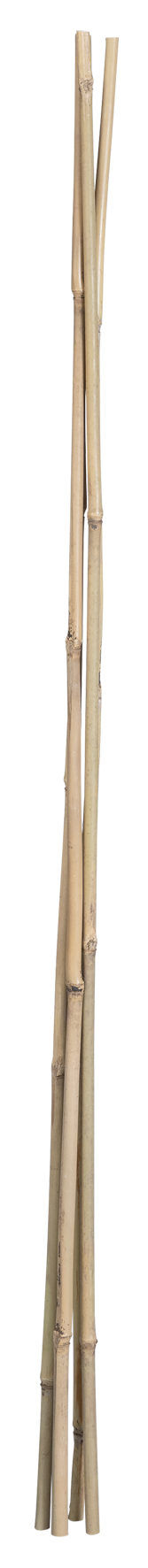 Bambusstab 90 cm 4 Stk. natur