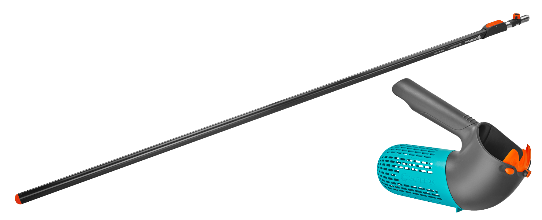 Beerensammler Promo+Telesk.