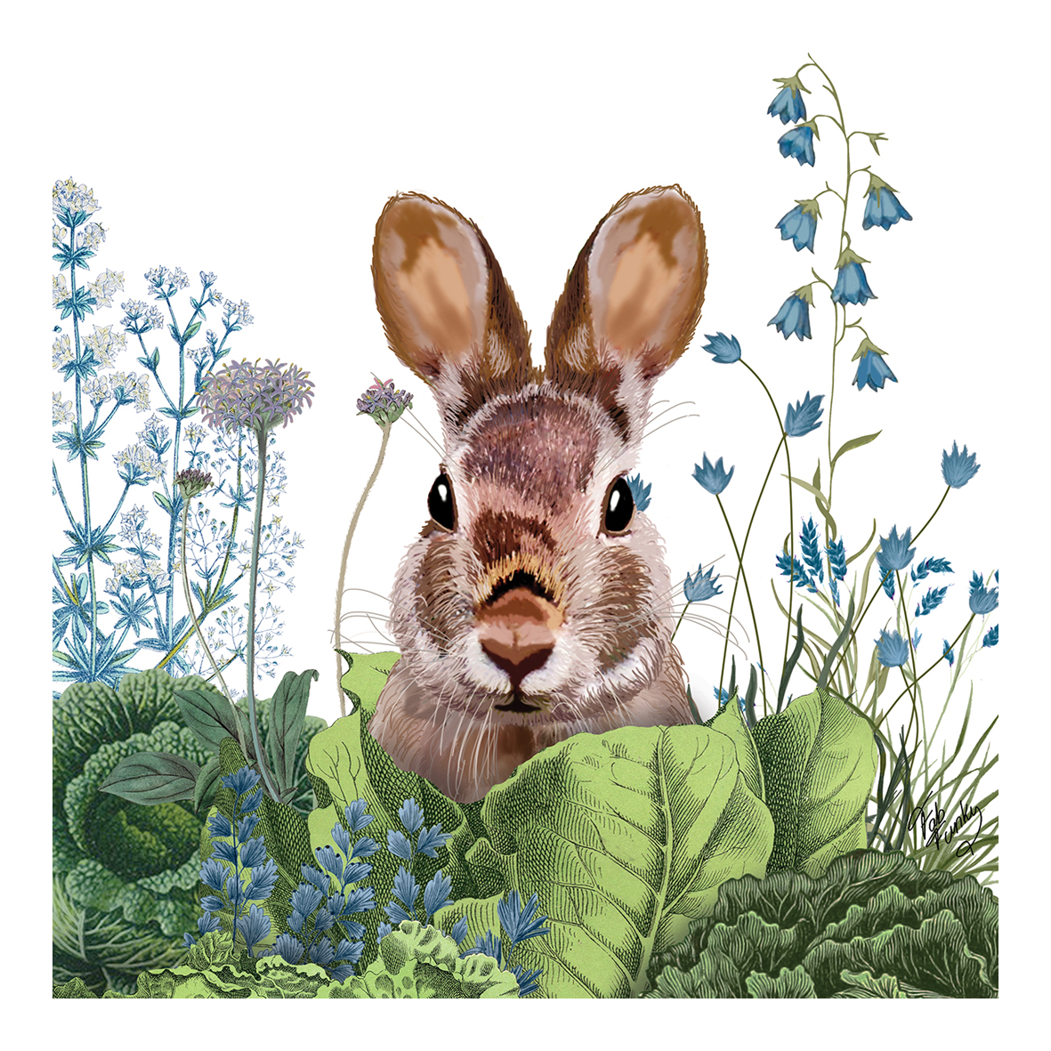 Serv. Chou Chou Bunny