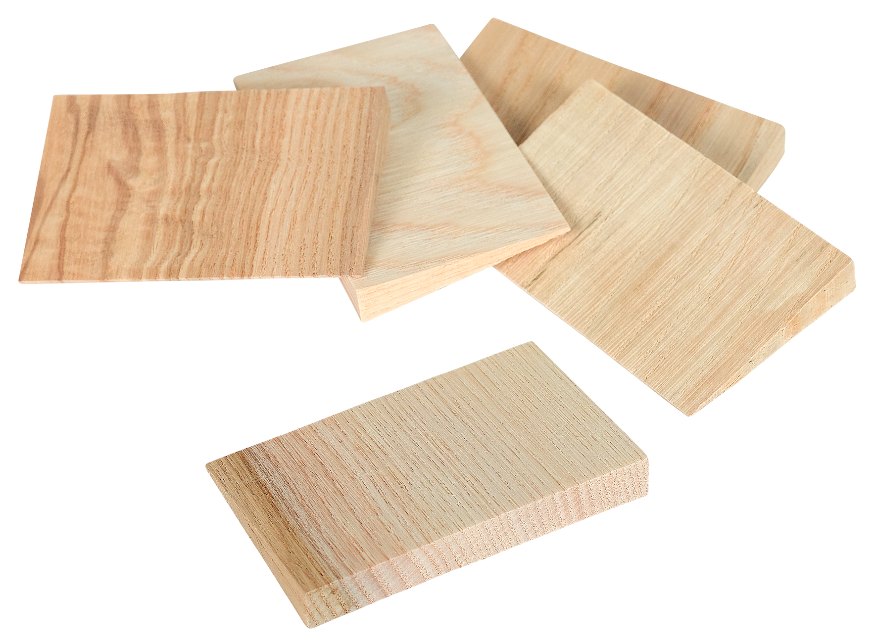 Holzkeilset Esche 100-teilig