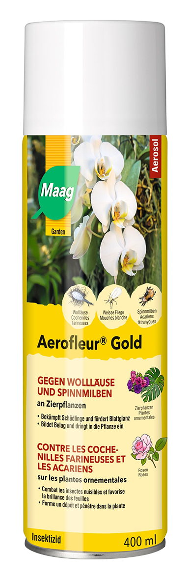 Aerofleur Gold Spray 400 ml