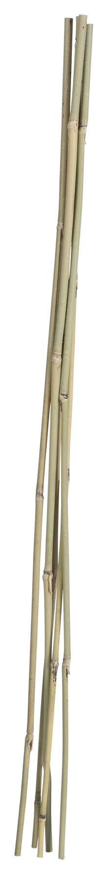 Bambusstab 210 cm 1 Stk. natur