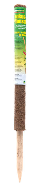 Pflanzenstab Kokos 80cm