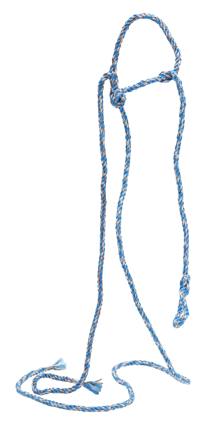 Halfter für Kälbermischgarn