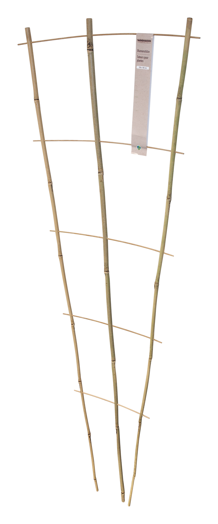 Blumenstütze Bambus 150x50 cm