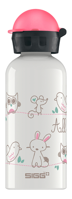 Bottle All My Friends 0.4l