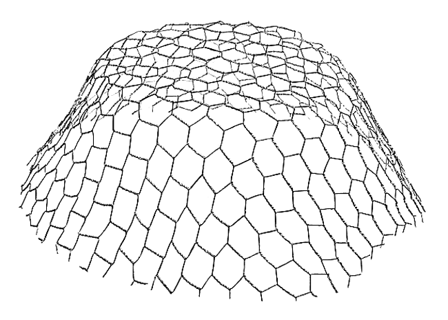 Erbshütchen verzinkt 10St.