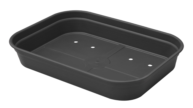 Anzuchtschale black 36x27cm
