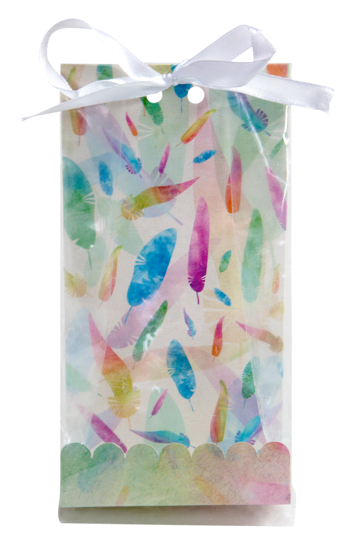 Geschenkt.RainbowFeathers24tl