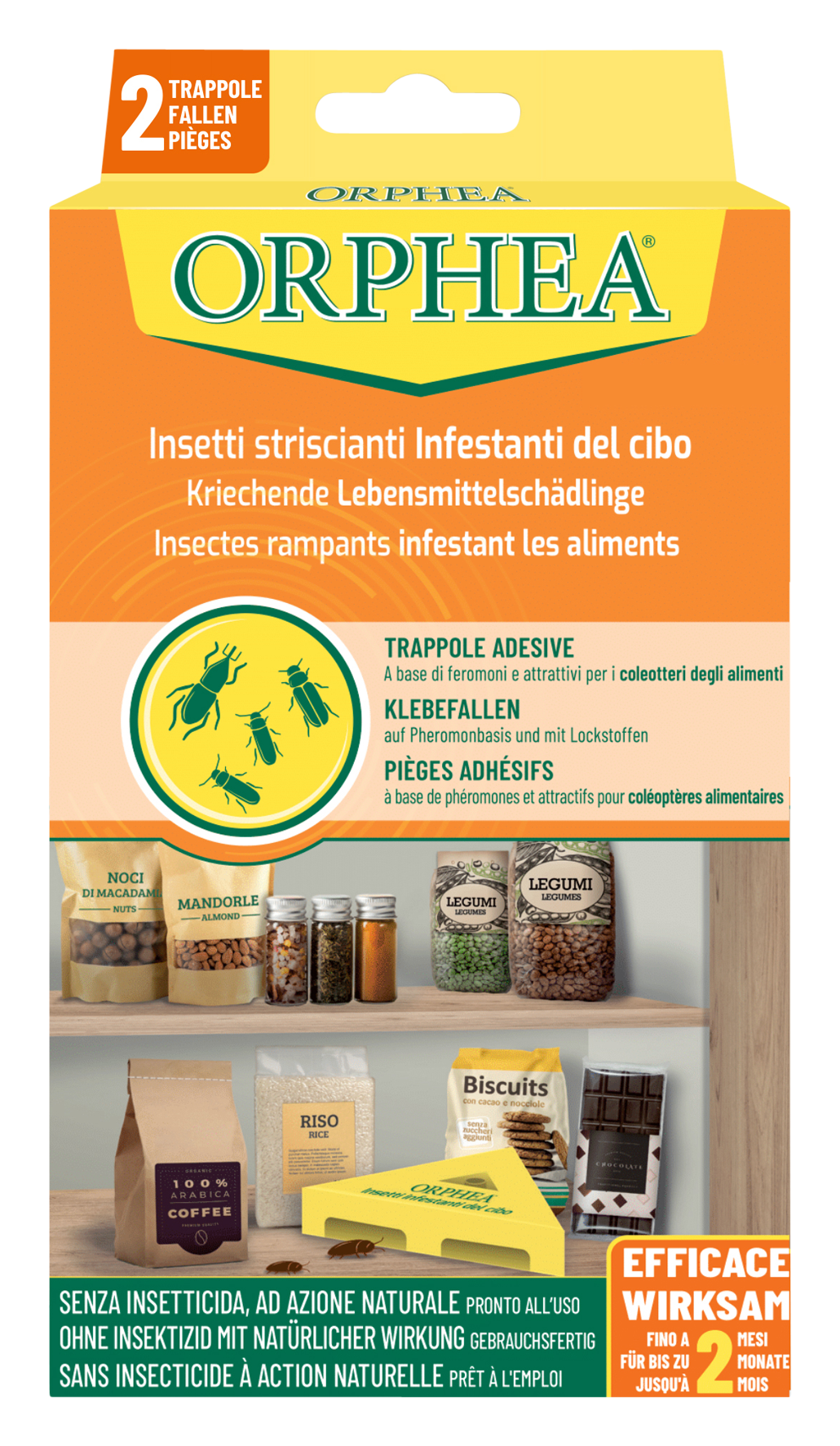 Falle Lebensmittelschädlinge