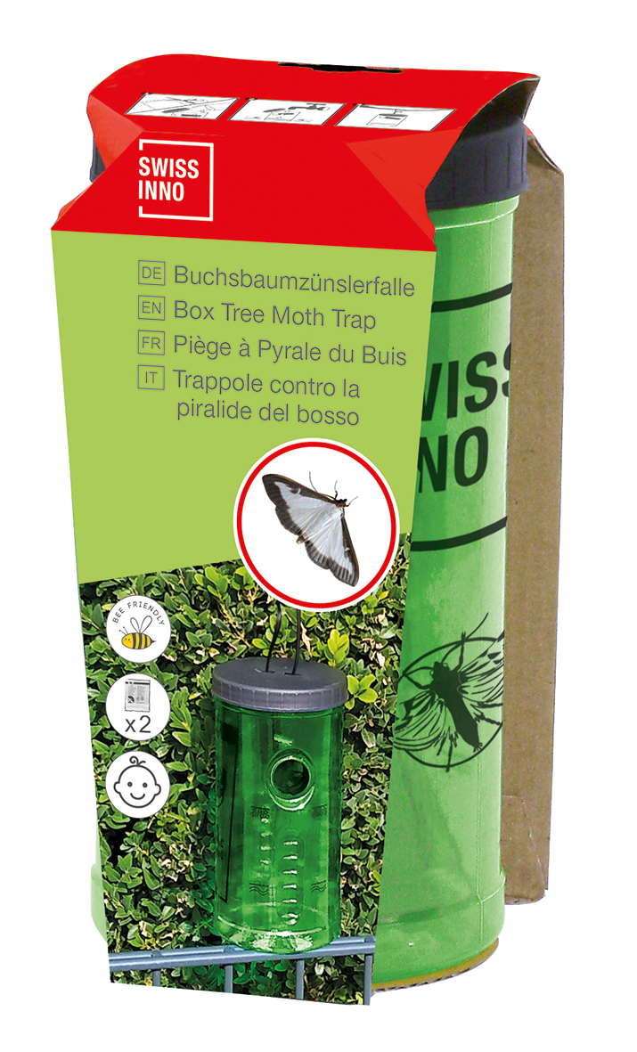 Buchsbaumzünslerfalle