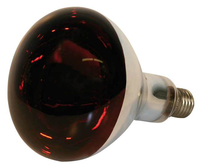 Infrarotlampe zu Wärmestrahler