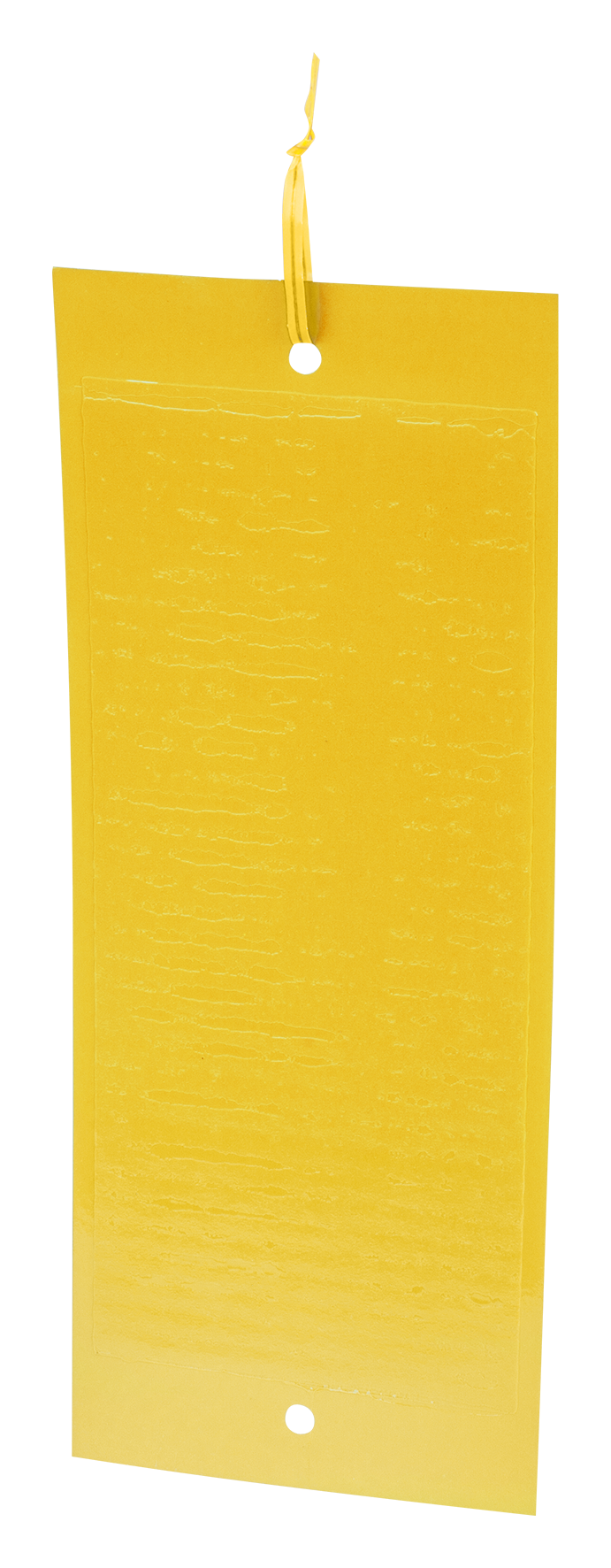 Gelbtafeln Aufhänger 10Stk.