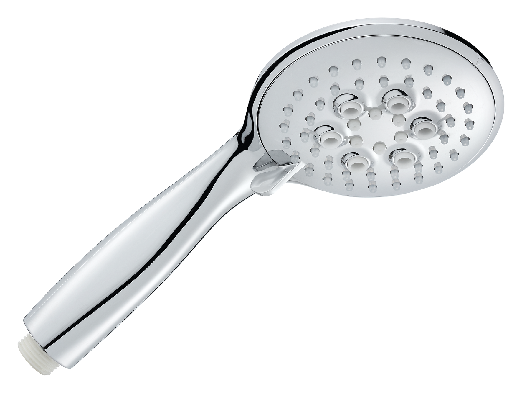 Brausegr. Caliban PCR