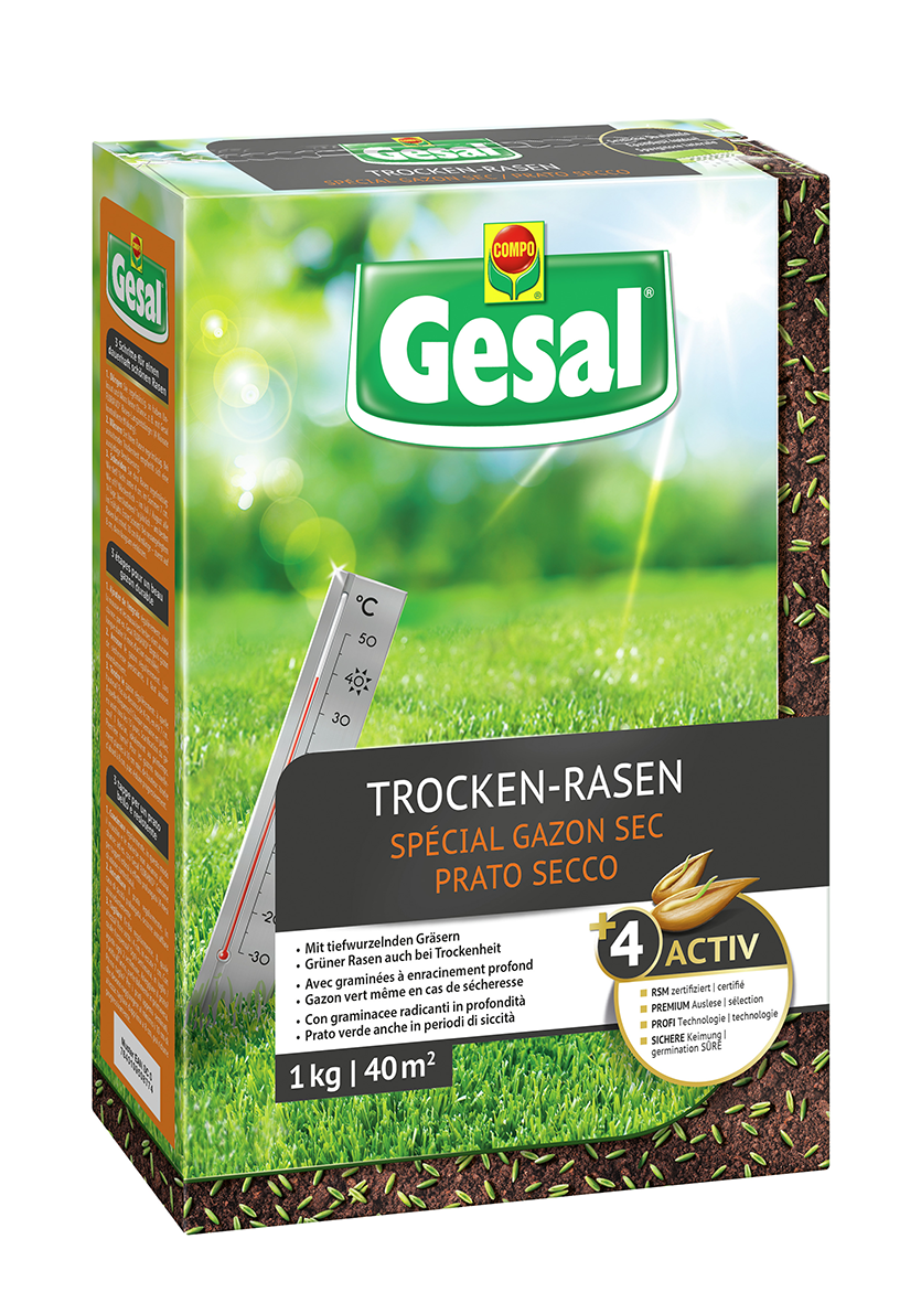 Trocken-Rasen 1kg