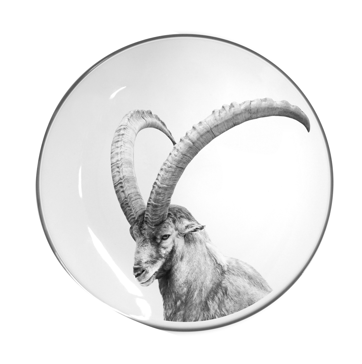 Teller flach Steinbock ws ø21