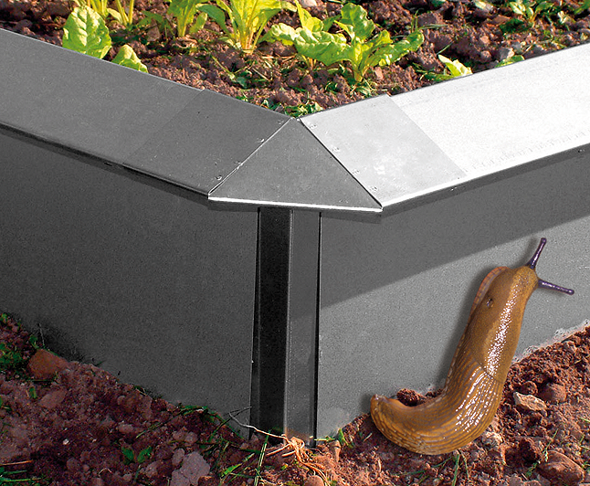 Schneckenblech 100x20 cm