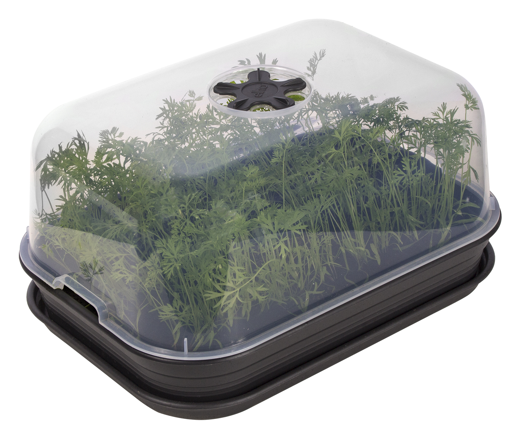 Anzuchtset allin1 living black