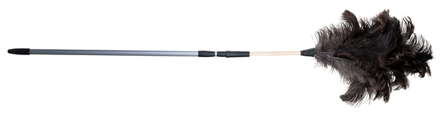 Straussenwedel Teleskopstiel