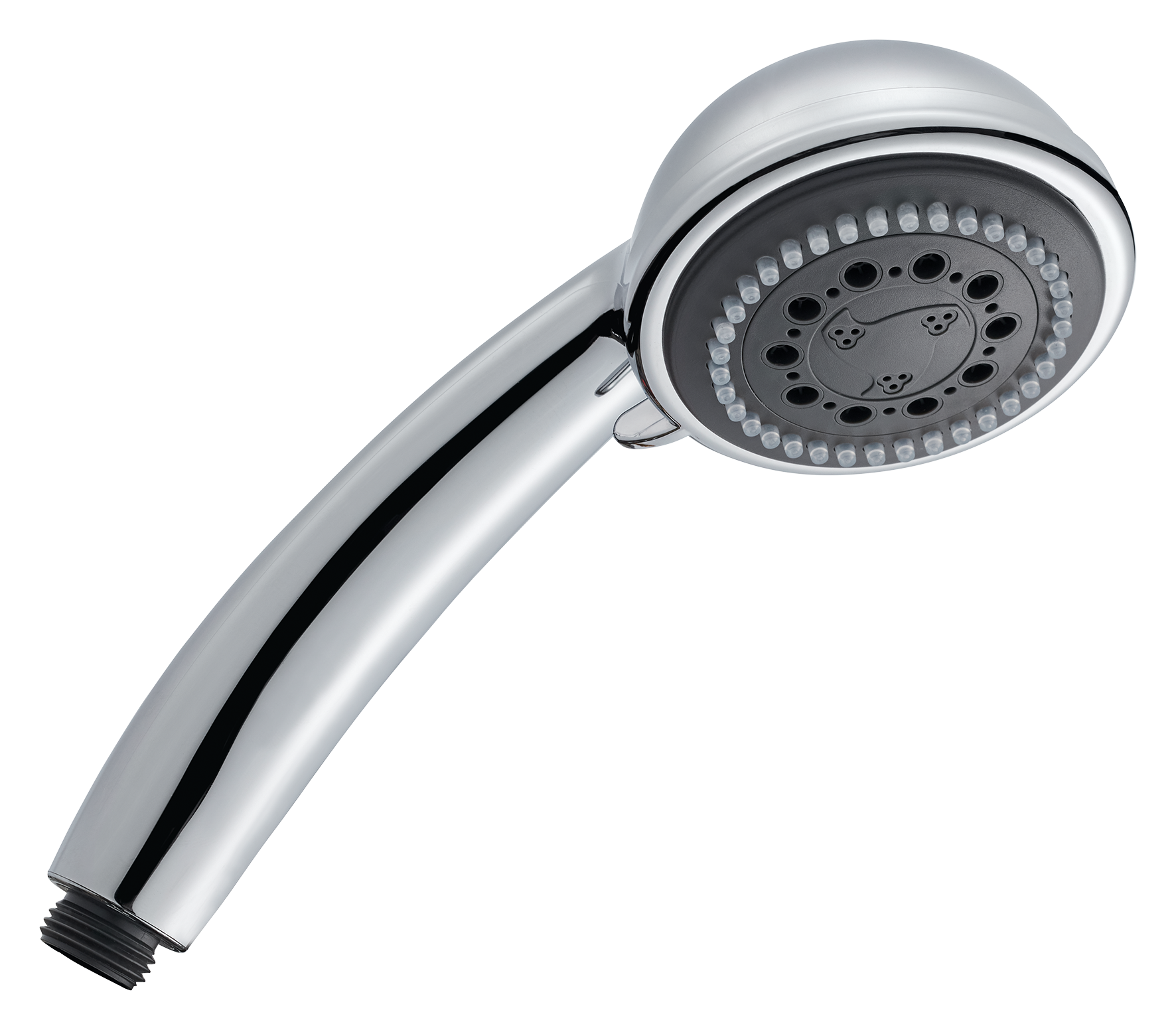 Brausegr. Adhara PCR