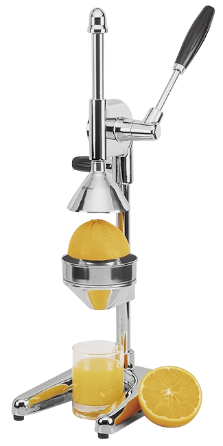 Handfruchtpresse Profi