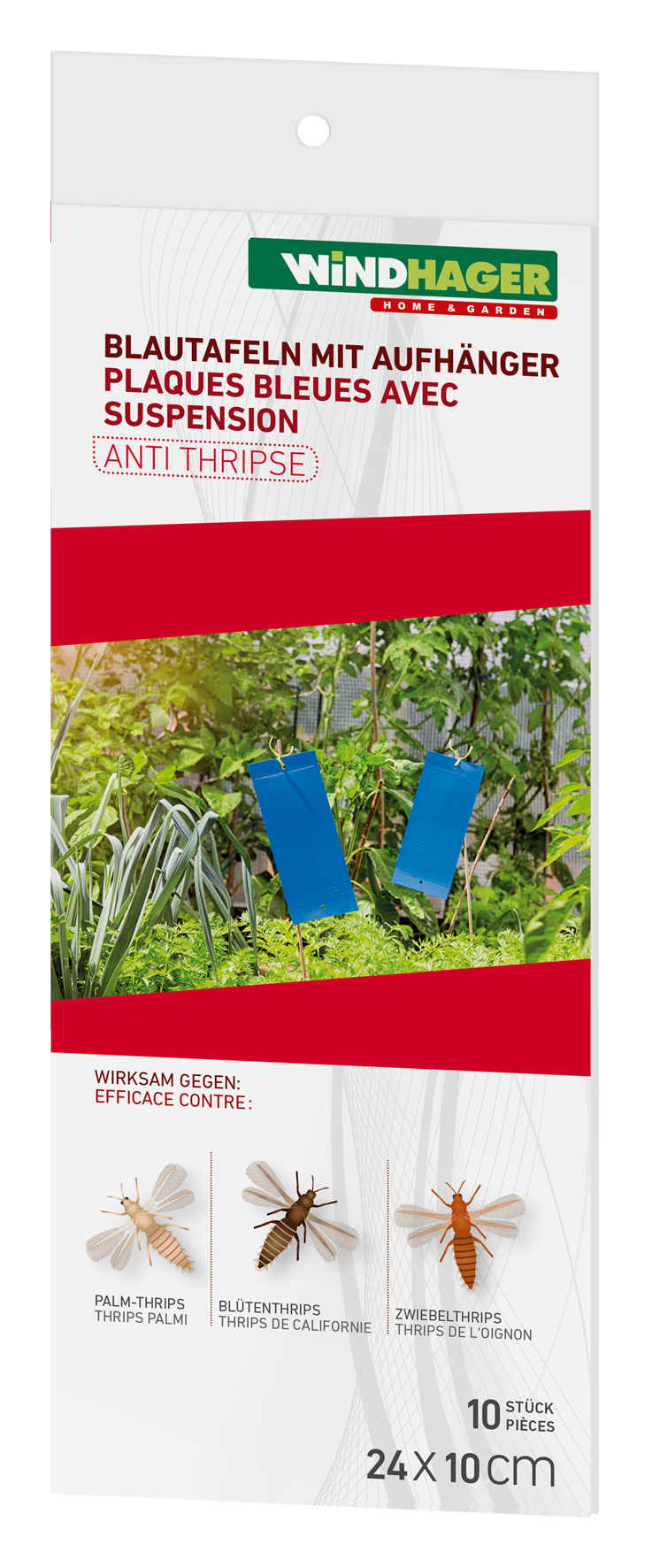 Blautafeln Aufhänger 10Stk.