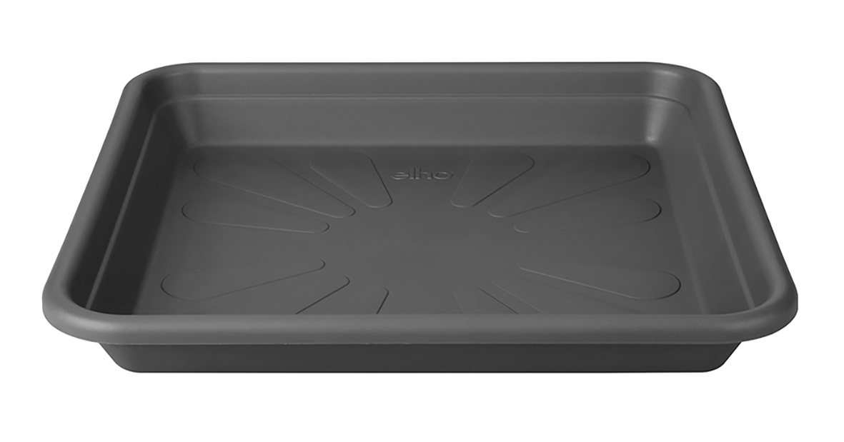 Unters. Univers. anth. 30x30cm