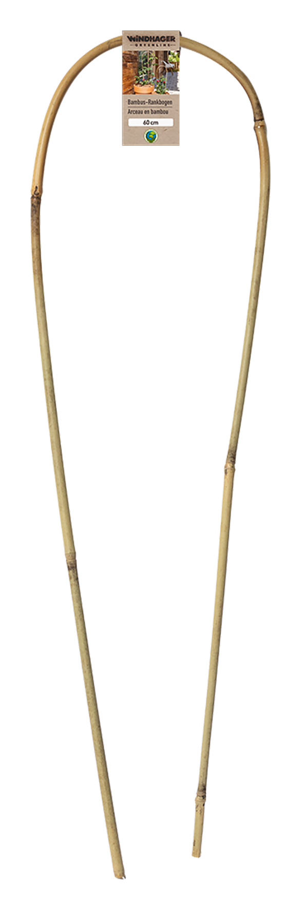 Bogenspalier Bambus 18x60 cm