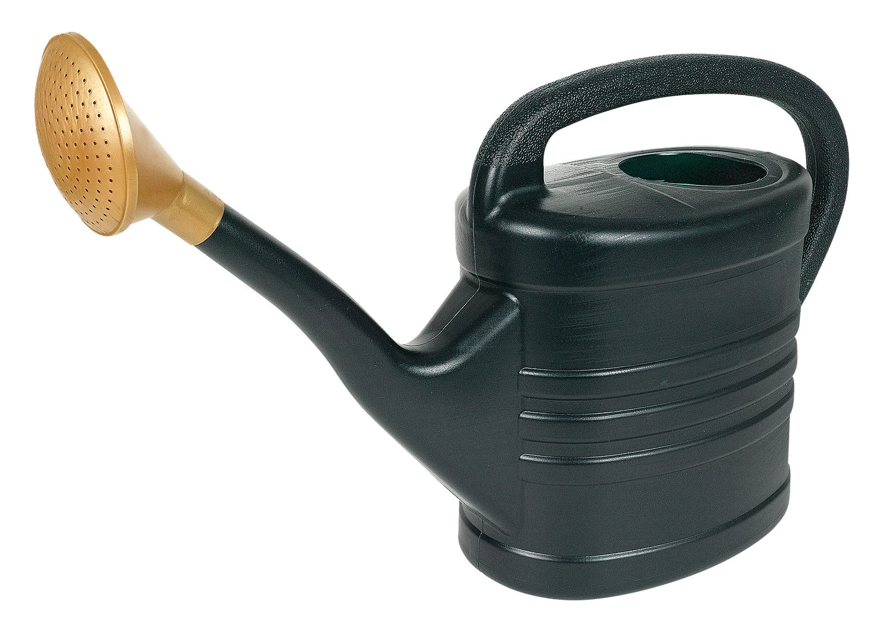 Giesskanne 10 l petrol