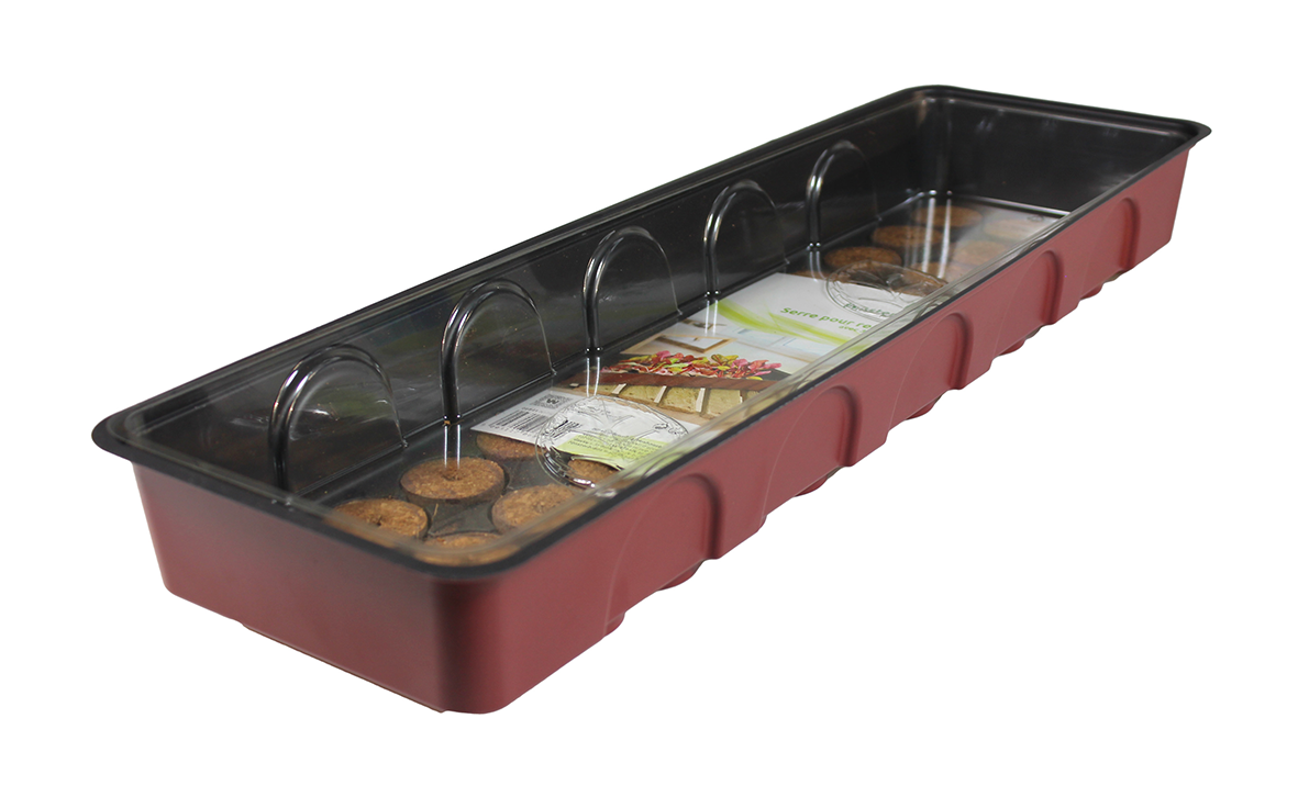 FB-Treibhaus 36 Anzucht-Tabs