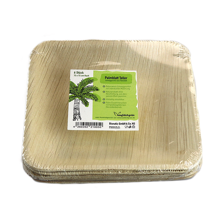 Einwegteller 15x15 cm 6 Stück