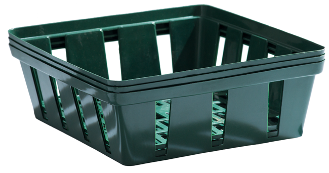 Blumenzwiebelschale 23.5cm