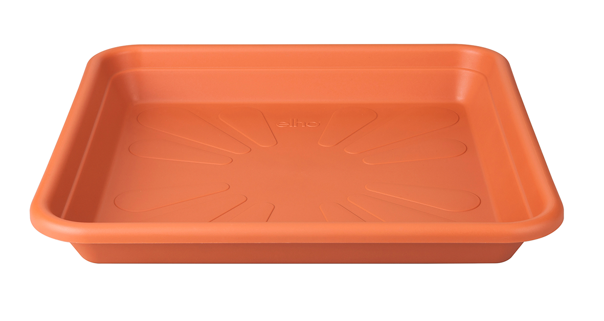 Unters. Univers. anth. 35x35cm