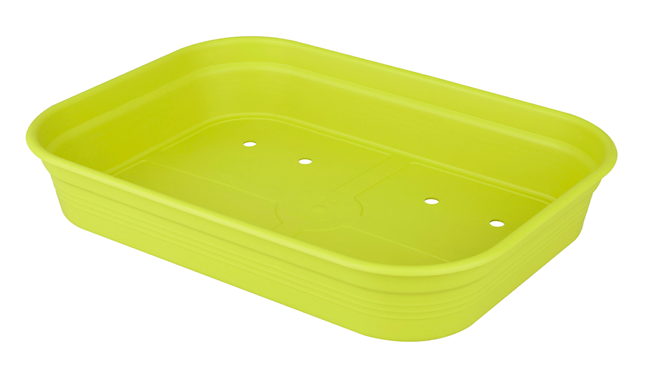 Anzuchtschale lime green 36x27