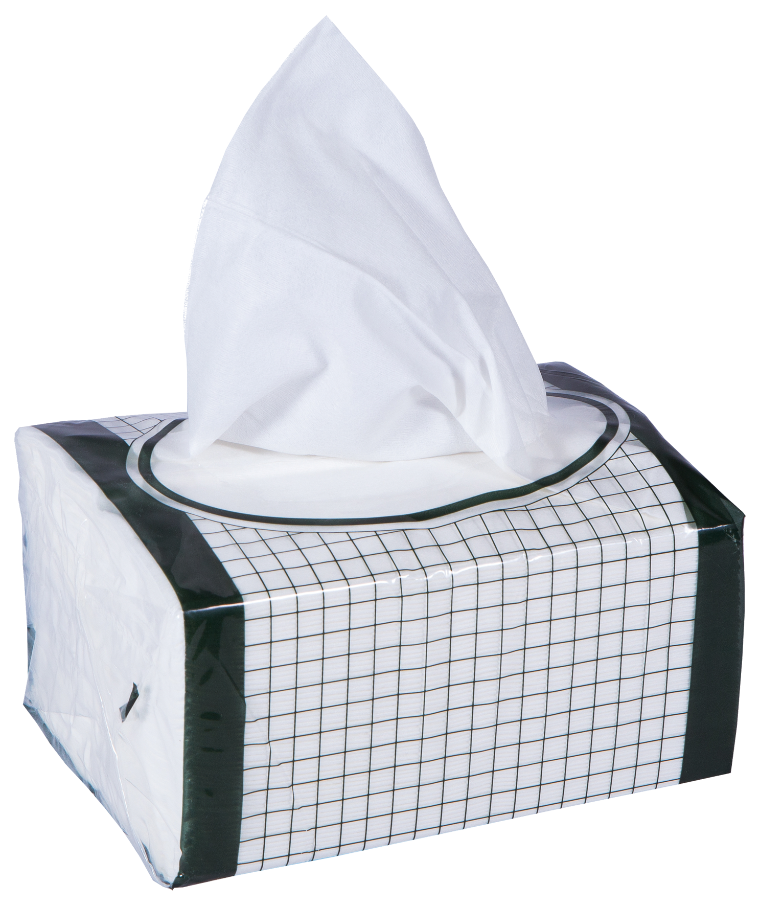 Putztuch Viscotex 29x38 cm ws