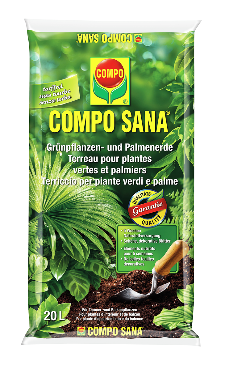 Grünpflanzen Palmenerde 20l