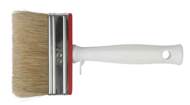 Streichbürste 100x30mm