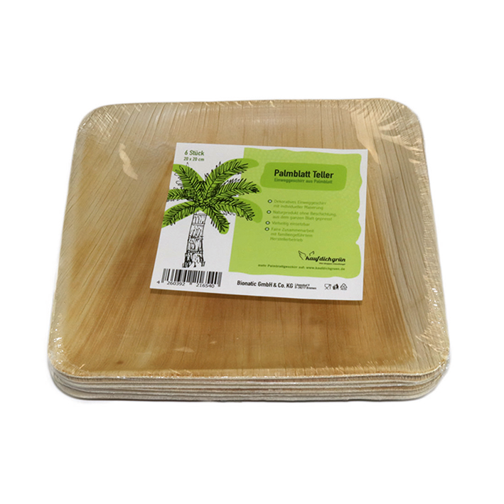 Einwegteller 20x20 cm 6 Stück