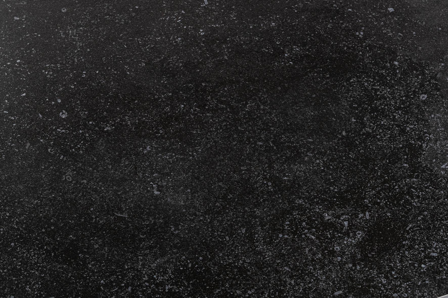 Platte Fossil natur 160x95cm