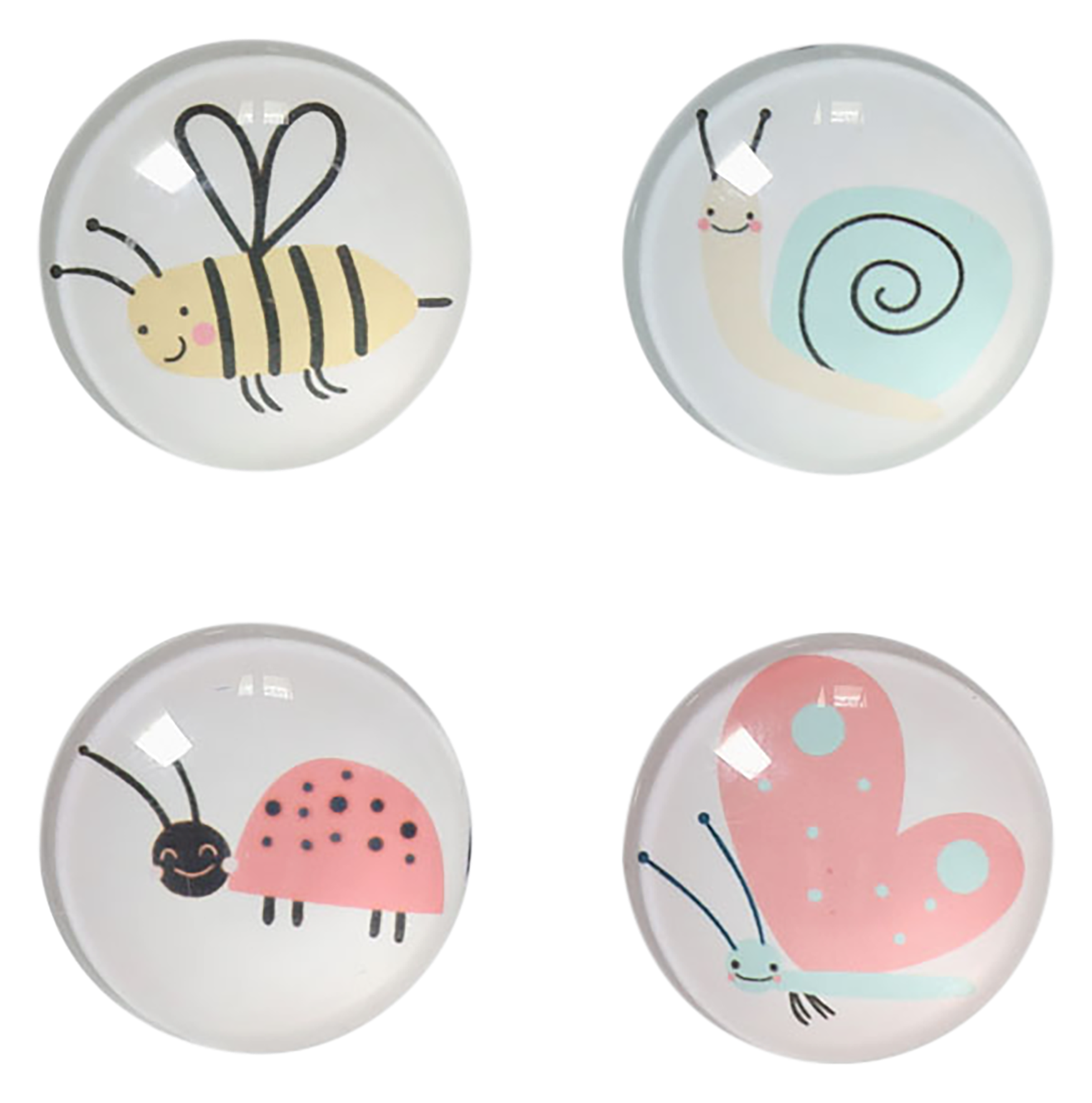 Magnet Insekten 4 Stück